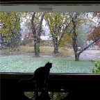 The first snow of fall 2011. Breathtaking for QBert & me.